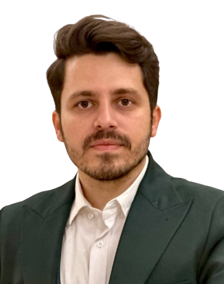 حامد سیفی - مدیر عامل